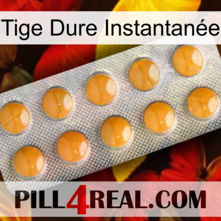 Tige Dure Instantanée levitra1